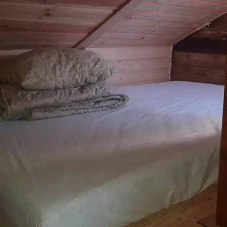 райский сад Hostel *