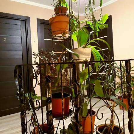 райский сад Hostel