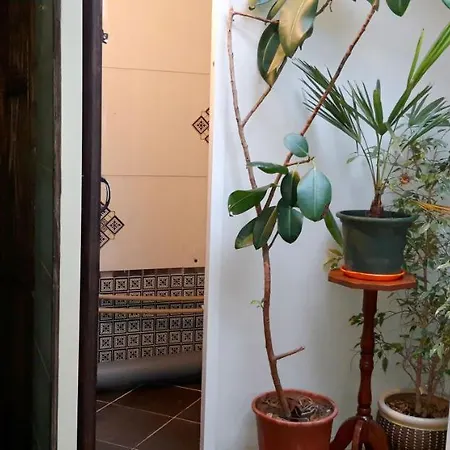 Hostel райский сад *
